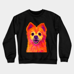 Roy the Pomeranian Crewneck Sweatshirt